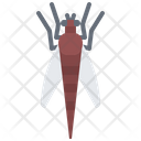 پیش‌نمایش فایل beetle-5923942 از پک حشرات