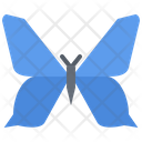 پیش‌نمایش فایل butterfly-5923914 از پک حشرات