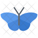 پیش‌نمایش فایل butterfly-5923922 از پک حشرات