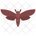 پیش‌نمایش فایل butterfly-5923923 از پک حشرات