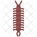 پیش‌نمایش فایل centipede-5923917 از پک حشرات