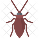 پیش‌نمایش فایل cockroach-5923955 از پک حشرات