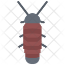 پیش‌نمایش فایل cockroach-5923956 از پک حشرات