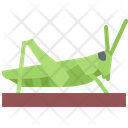 پیش‌نمایش فایل locust-5923916 از پک حشرات