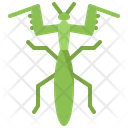 پیش‌نمایش فایل mantis-5923909 از پک حشرات