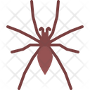 پیش‌نمایش فایل spider-5923930 از پک حشرات