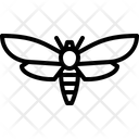 پیش‌نمایش فایل butterfly-5923971 از پک حشرات