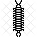 پیش‌نمایش فایل centipede-5923965 از پک حشرات