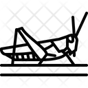 پیش‌نمایش فایل locust-5923964 از پک حشرات