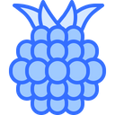 پیش‌نمایش فایل blackberry-5936933 از پک میوه