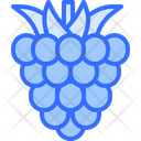 پیش‌نمایش فایل raspberries-5936980 از پک میوه