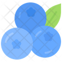 پیش‌نمایش فایل blueberry-5936981 از پک میوه