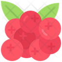 پیش‌نمایش فایل cranberry-5936985 از پک میوه