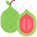 پیش‌نمایش فایل guava-5937014 از پک میوه