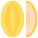 پیش‌نمایش فایل melon-5937008 از پک میوه