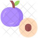 پیش‌نمایش فایل plum-5936989 از پک میوه