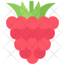 پیش‌نمایش فایل raspberries-5937029 از پک میوه