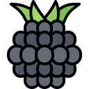 پیش‌نمایش فایل blackberry-5936930 از پک میوه