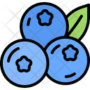 پیش‌نمایش فایل blueberry-5936929 از پک میوه
