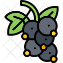 پیش‌نمایش فایل currant-5936881 از پک میوه
