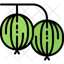پیش‌نمایش فایل gooseberry-5936882 از پک میوه