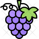 پیش‌نمایش فایل grape-5936894 از پک میوه