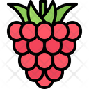 پیش‌نمایش فایل raspberries-5936927 از پک میوه