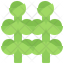 پیش‌نمایش فایل brussels-sprouts-5936705 از پک سبزیجات