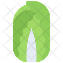 پیش‌نمایش فایل cabbage-5936703 از پک سبزیجات