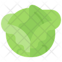 پیش‌نمایش فایل cabbage-5936704 از پک سبزیجات