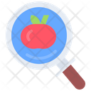 پیش‌نمایش فایل search-tomato-5936737 از پک سبزیجات