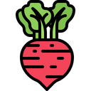 پیش‌نمایش فایل beetroot-5936619 از پک سبزیجات
