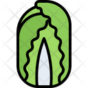 پیش‌نمایش فایل cabbage-5936600 از پک سبزیجات