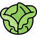 پیش‌نمایش فایل cabbage-5936601 از پک سبزیجات