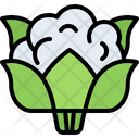 پیش‌نمایش فایل cauliflower-5936603 از پک سبزیجات