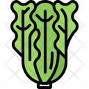 پیش‌نمایش فایل lettuce-5936599 از پک سبزیجات