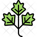 پیش‌نمایش فایل parsley-5936625 از پک سبزیجات