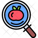 پیش‌نمایش فایل search-tomato-5936633 از پک سبزیجات