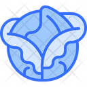 پیش‌نمایش فایل cabbage-5936653 از پک سبزیجات
