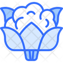 پیش‌نمایش فایل cauliflower-5936655 از پک سبزیجات