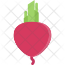 پیش‌نمایش فایل beet-cooking-food-orange-product-shop-supermarket از پک غذا - فلت