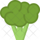 پیش‌نمایش فایل broccoli-cooking-food-orange-product-shop-supermarket از پک غذا - فلت