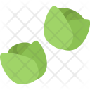 پیش‌نمایش فایل brussels-sprouts-cooking-food-orange-product-shop-supermarket از پک غذا - فلت