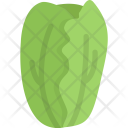 پیش‌نمایش فایل cabbage-cooking-food-orange-product-shop-supermarket-1 از پک غذا - فلت