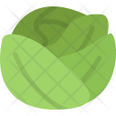 پیش‌نمایش فایل cabbage-cooking-food-orange-product-shop-supermarket از پک غذا - فلت