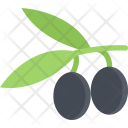 پیش‌نمایش فایل olives-cooking-food-orange-product-shop-supermarket از پک غذا - فلت