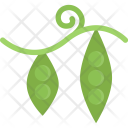 پیش‌نمایش فایل peas-cooking-food-orange-product-shop-supermarket از پک غذا - فلت
