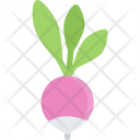 پیش‌نمایش فایل radish-cooking-food-orange-product-shop-supermarket از پک غذا - فلت