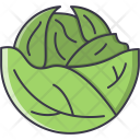 پیش‌نمایش فایل cabbage-35 از پک غذا - خطی توپر