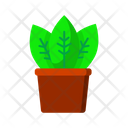 پیش‌نمایش فایل plant-4680231 از پک تجهیزات خانه